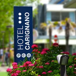 https://hotel-carignano.emilia-romagnahotels.net